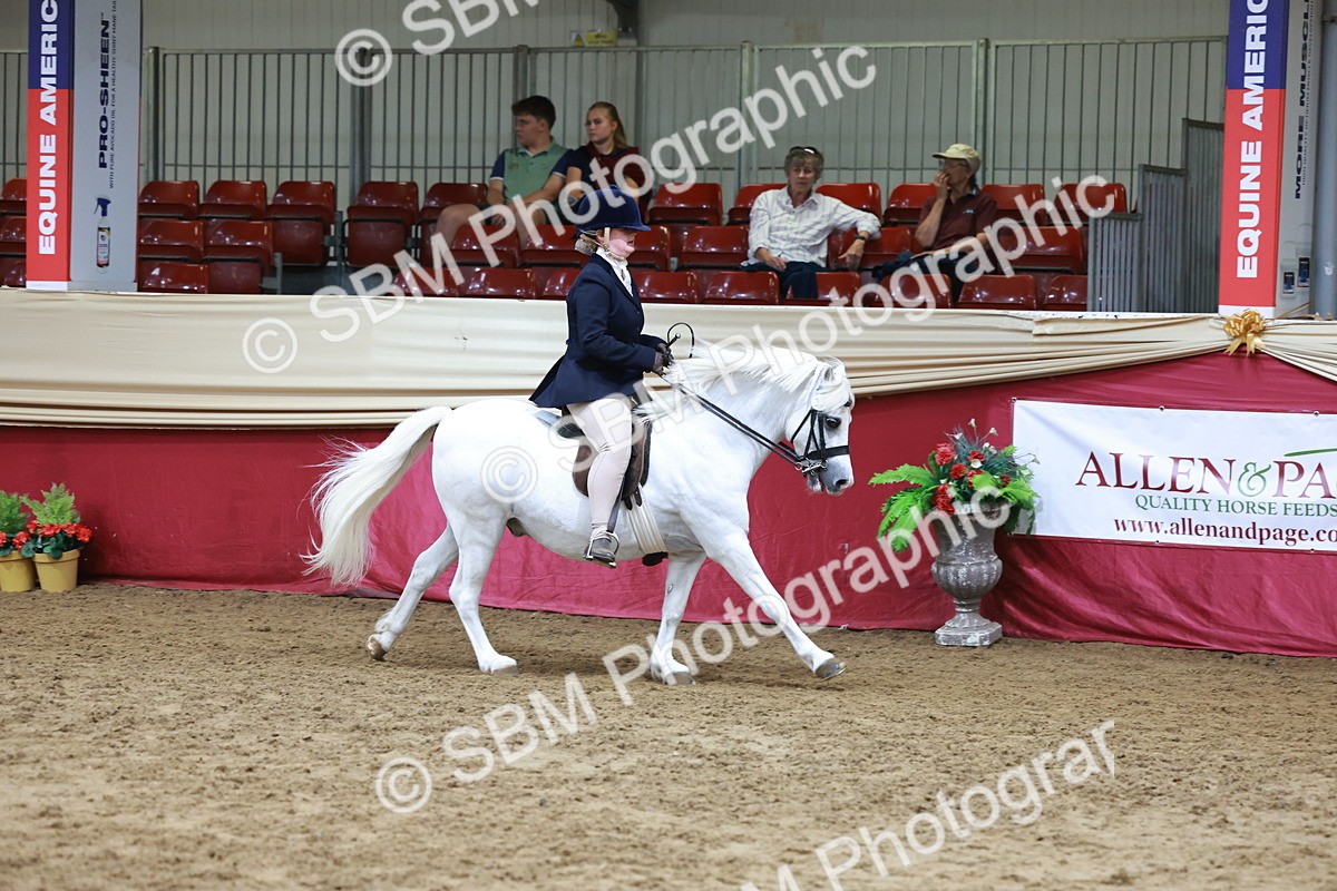 SBM_18560 - Class 952 - M&M Ridden Supreme Final