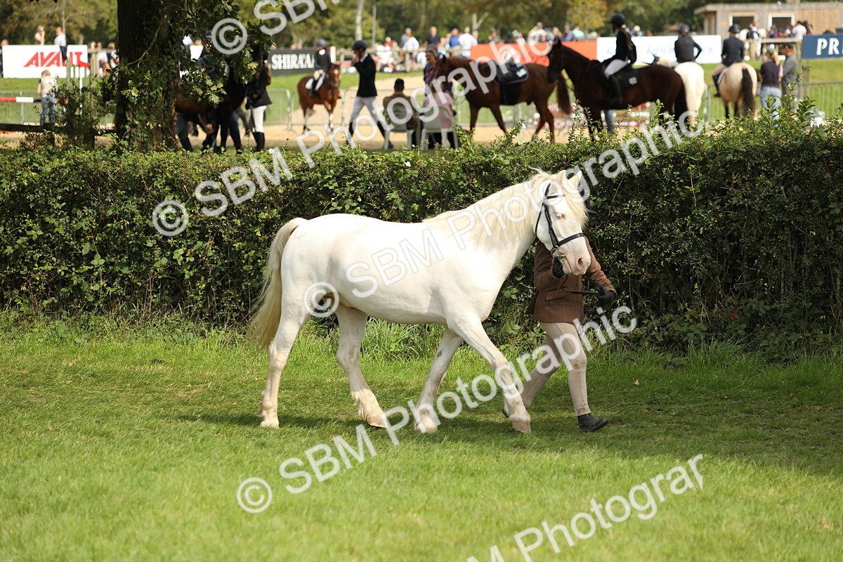 SBM_67737 - S39 - Junior Handler 8  Years & Under