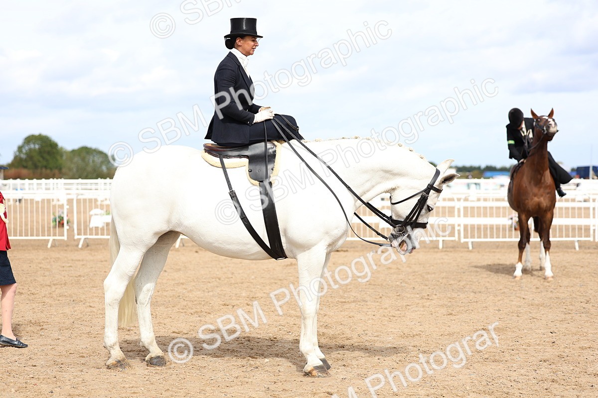 SBM_03242 - Class 22 - SSA Equitation (any age)