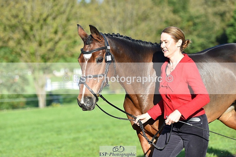 231022-095312-22092 - 507-EDGEDALE.BLUE.LADY-Katie.Lavin-TrotUp+SJ