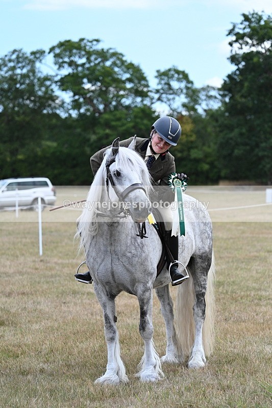 WJ7_5719 - Class 12 Ridden Cob
