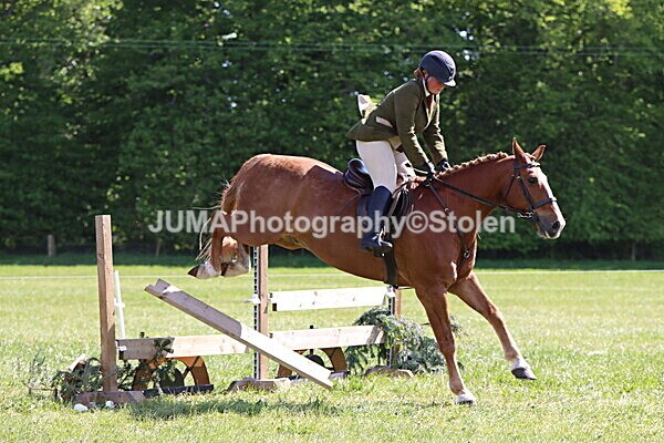 IMG_4586 - Working Hunter