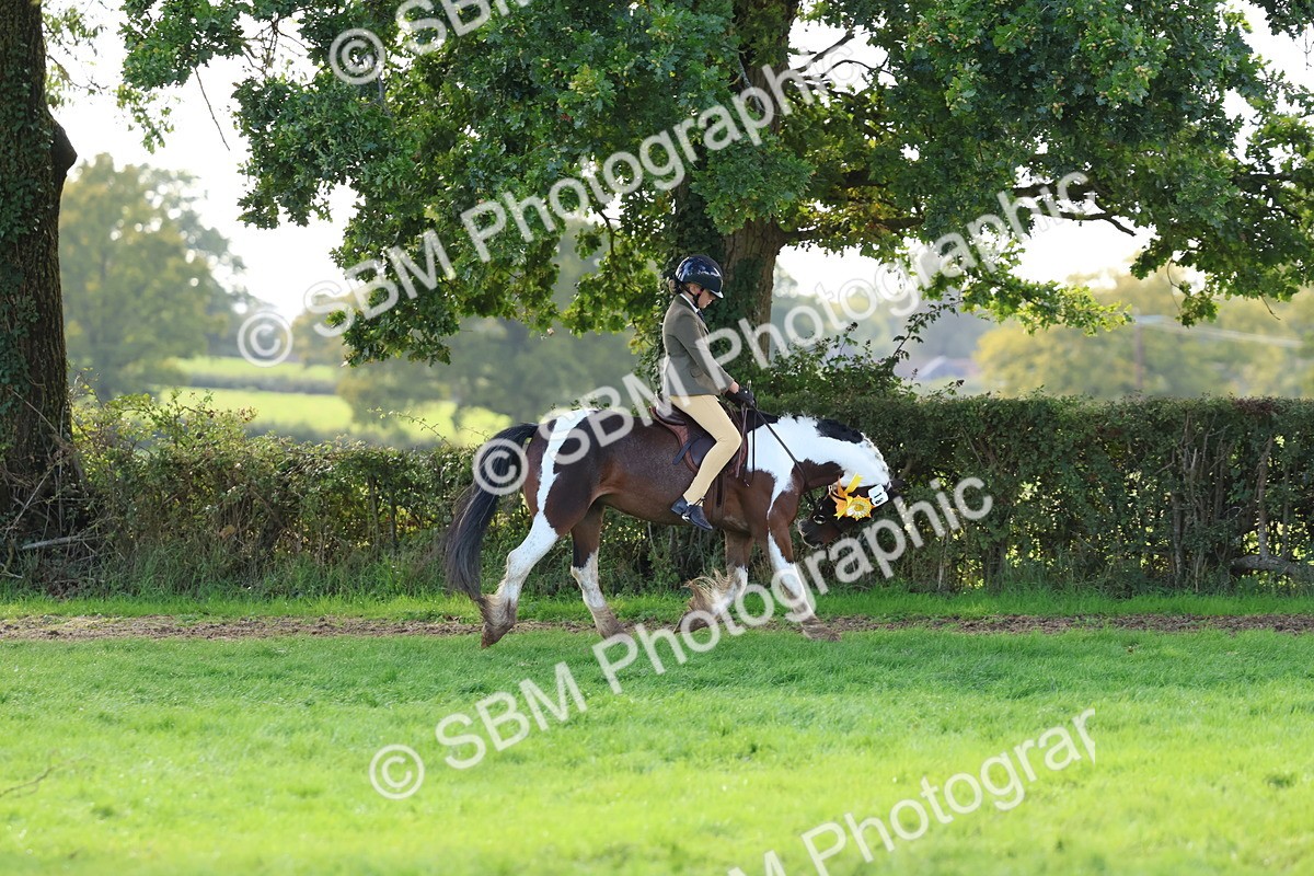 SBM_45343 - S27 - Young Veteran Ridden