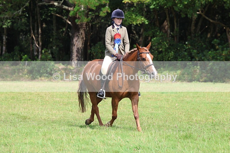 3E7A6041 - Working Hunter Championship