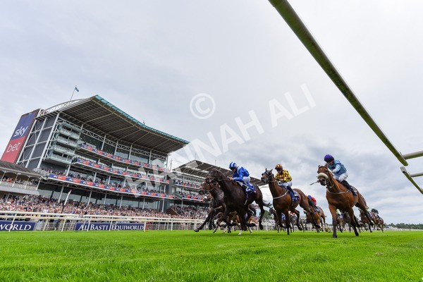 260725-Race 2-Elmonjed-7906 - Race 2 2.00pm Sky Bet Dash Handicap