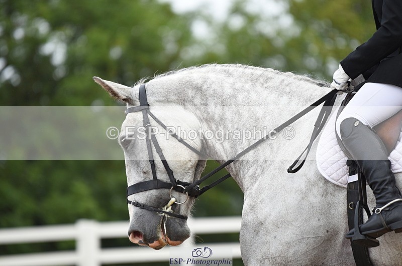 230912A-093102-00072 - Cls 4 Novice 22