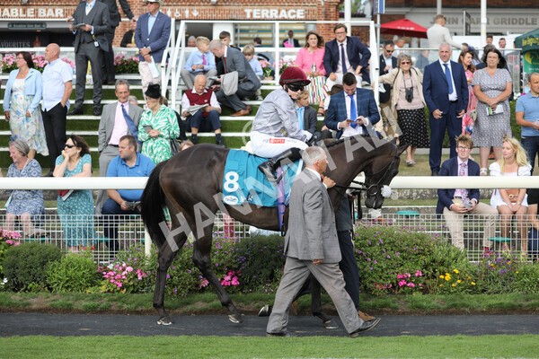 yr19082022r7-5 - Race 7 5.20pm Sky Bet Mile Stakes