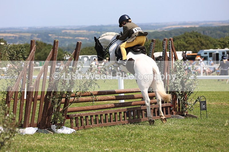 JPP_3097 - Class 22: Working Hunter 70cm