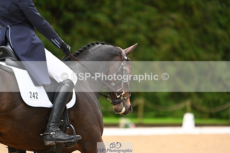 231021-120026-14888 - 242-SAMMEO-Oscar.Fitzgerald-DR