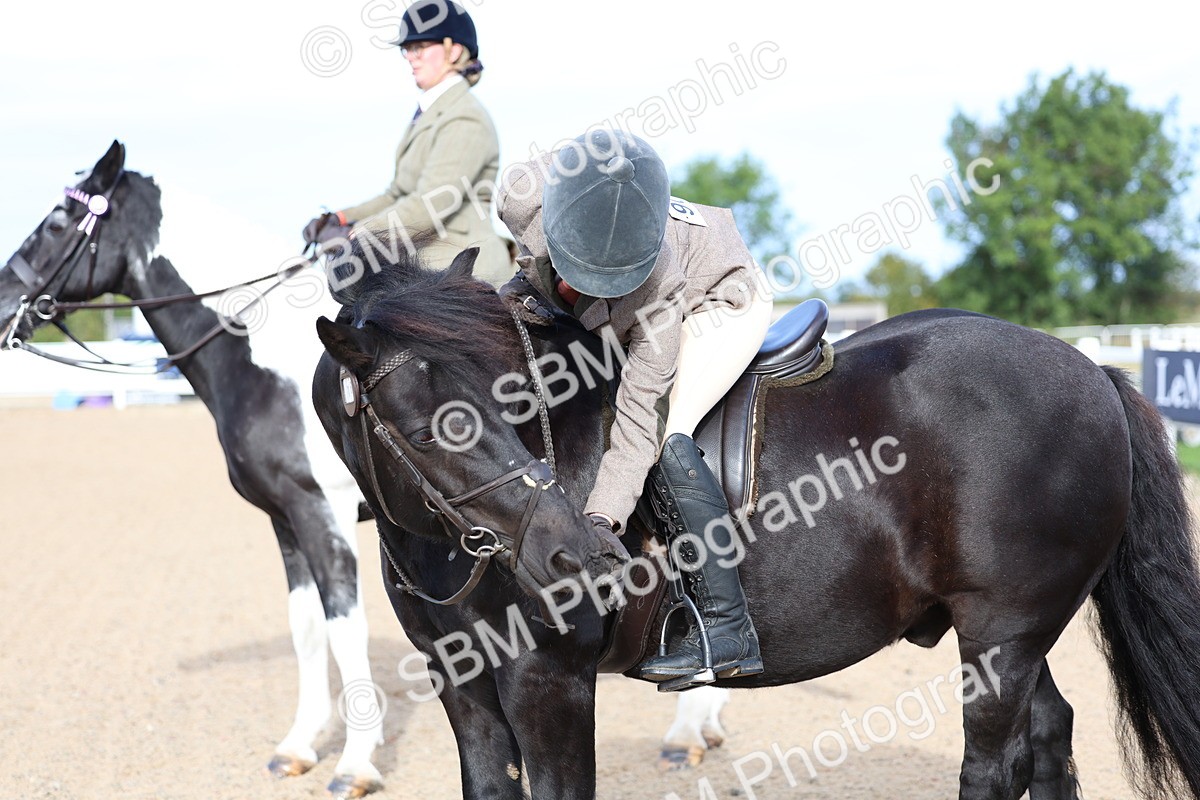 SBM_16770 - Class 802 - Ridden Groom - Helpers Class