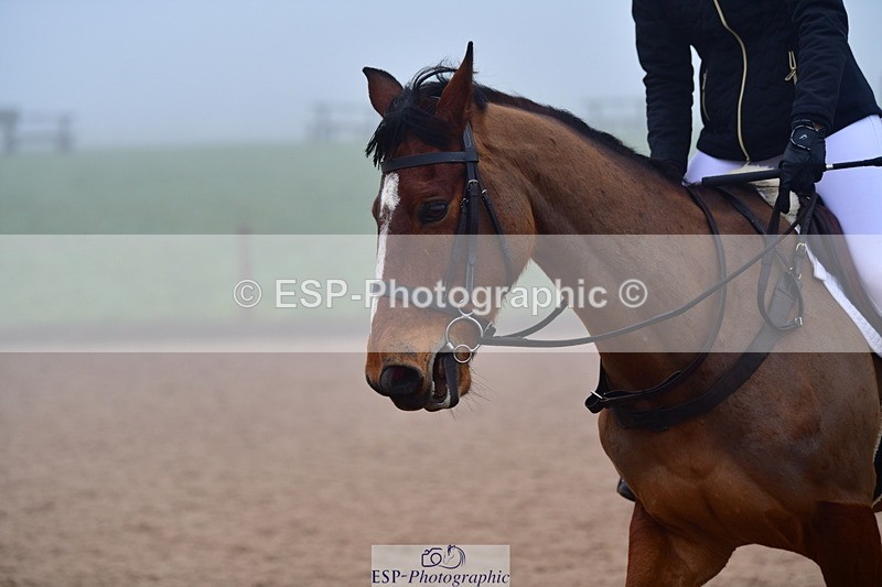 240214A-132932-00655 - Cls 4 Newcomers and 1.10m Open