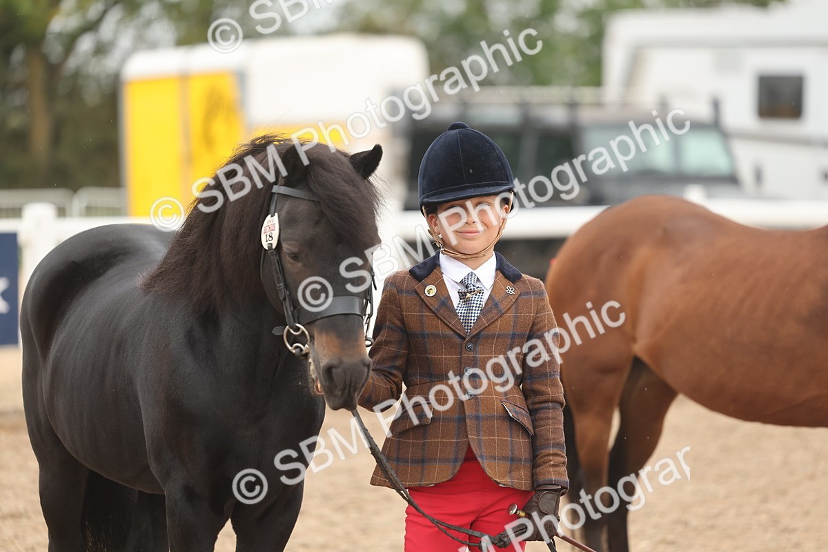 SBM_00558 - Class 13 Young Handler