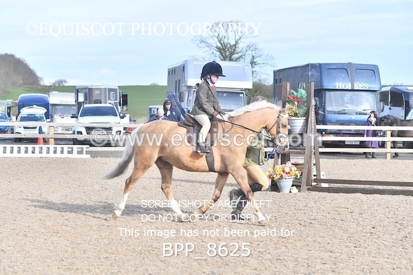 BPP_8625 - TRAINING STAKES