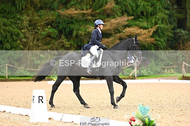 231021-115309-15013 - 343-MIDNIGHT.ROLLERCOASTER-Alison.Lidstone-DR