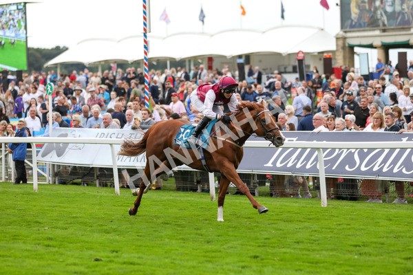 230823-Race 7-Zoulu Chief-4612 - Race 7 5.20pm Sky Bet Nursery Handicap