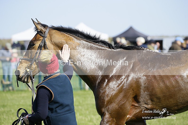 PtP 190322 426 - Wilton Hunt PtP Milborne St Andrew 19/03/22