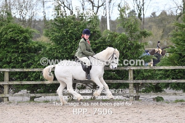 BPP_7506 - RING 1  (RIDDEN HORSES / IN HAND / VETERAN ETC)