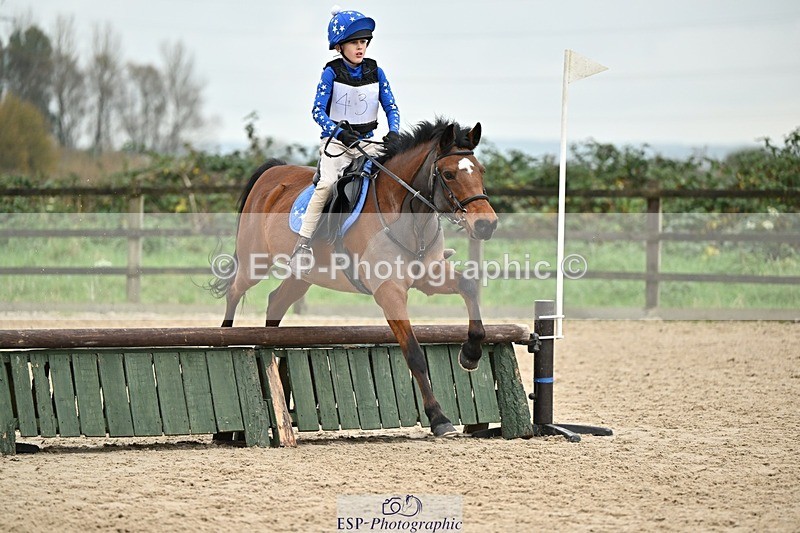 241110-141621-01075 - 60-65cm Arena Eventing