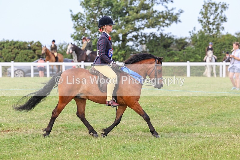IMG_3756 - M & M Ridden Championship