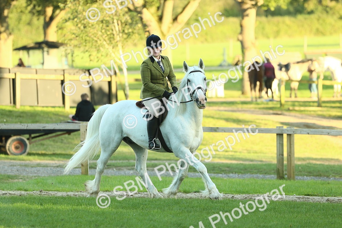 SBM_55613 - S14 - Riding Club Horse