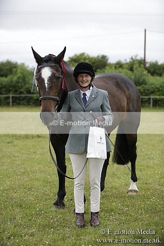 BVR160717-739 - Ring 2 BVRC Show 16/07/17