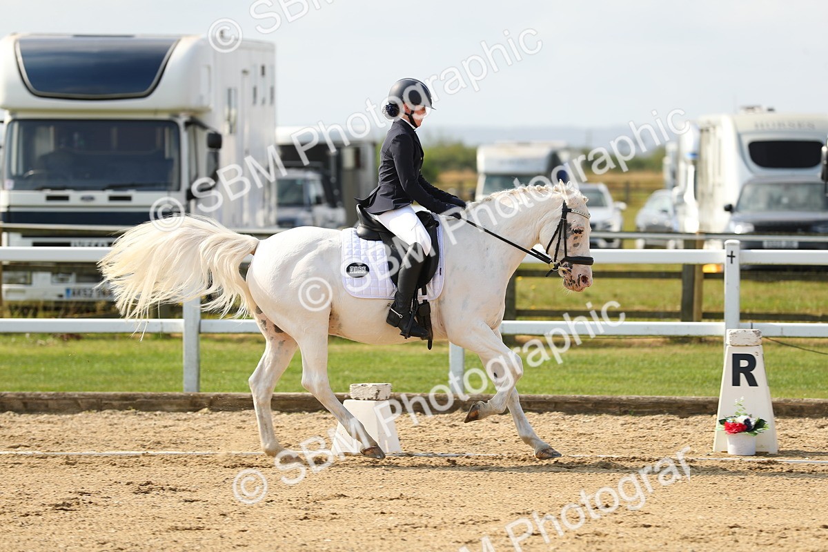 SBM_015593 - Class 13 - Novice 23 - 9.54-11.04