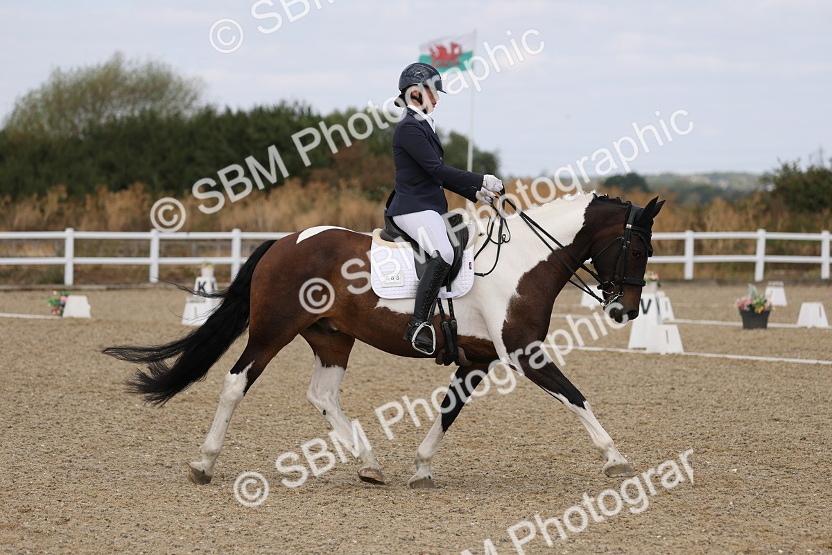 SBM_021090 - Class 21 - M5 Bronze 10.58.12.10