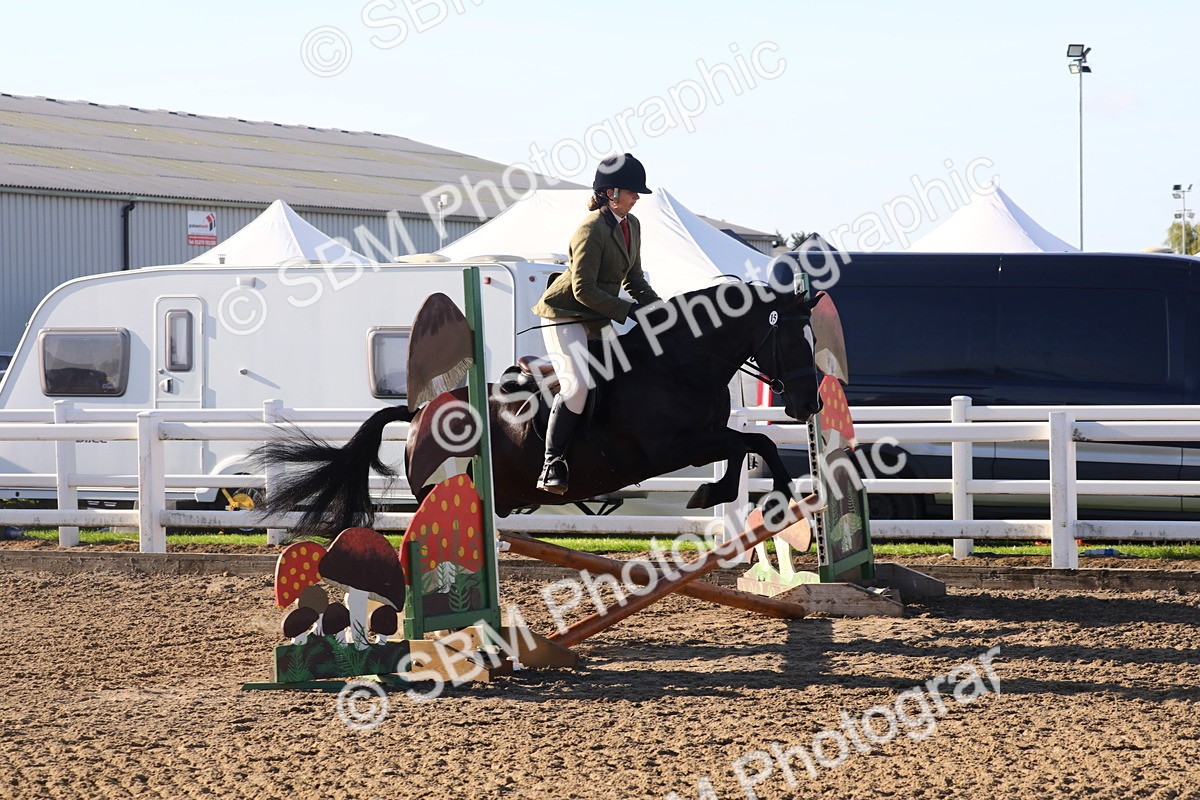 SBM_07905 - Class 501 - Riding Club Pony