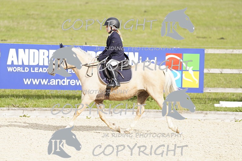 _DSC0071 - Mini Pairs
