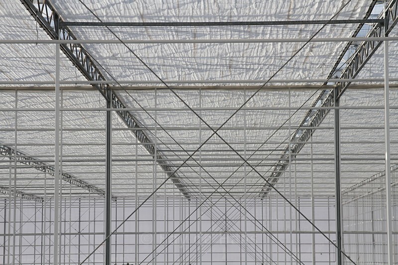 IMG_4554 - Manmade lines
