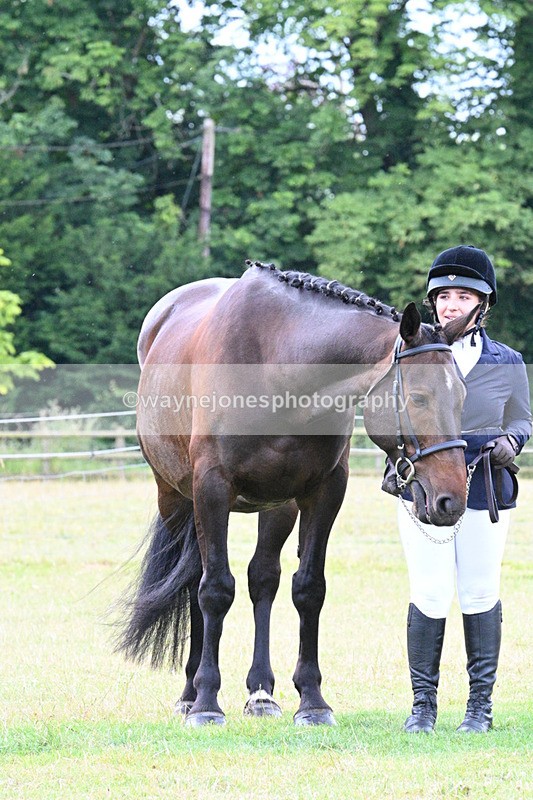 WJ7_7217 - Class 5a Most Handsome Gelding in Hand