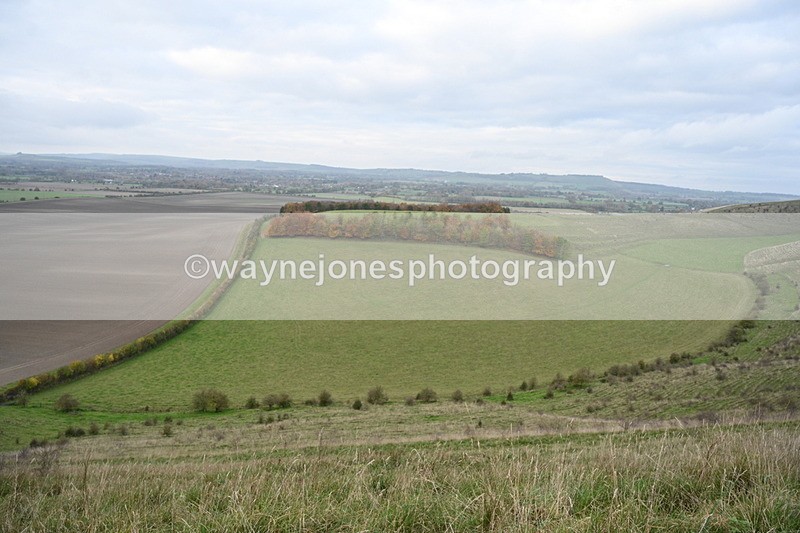WJ7_9698 - Camera 1 & Last fence