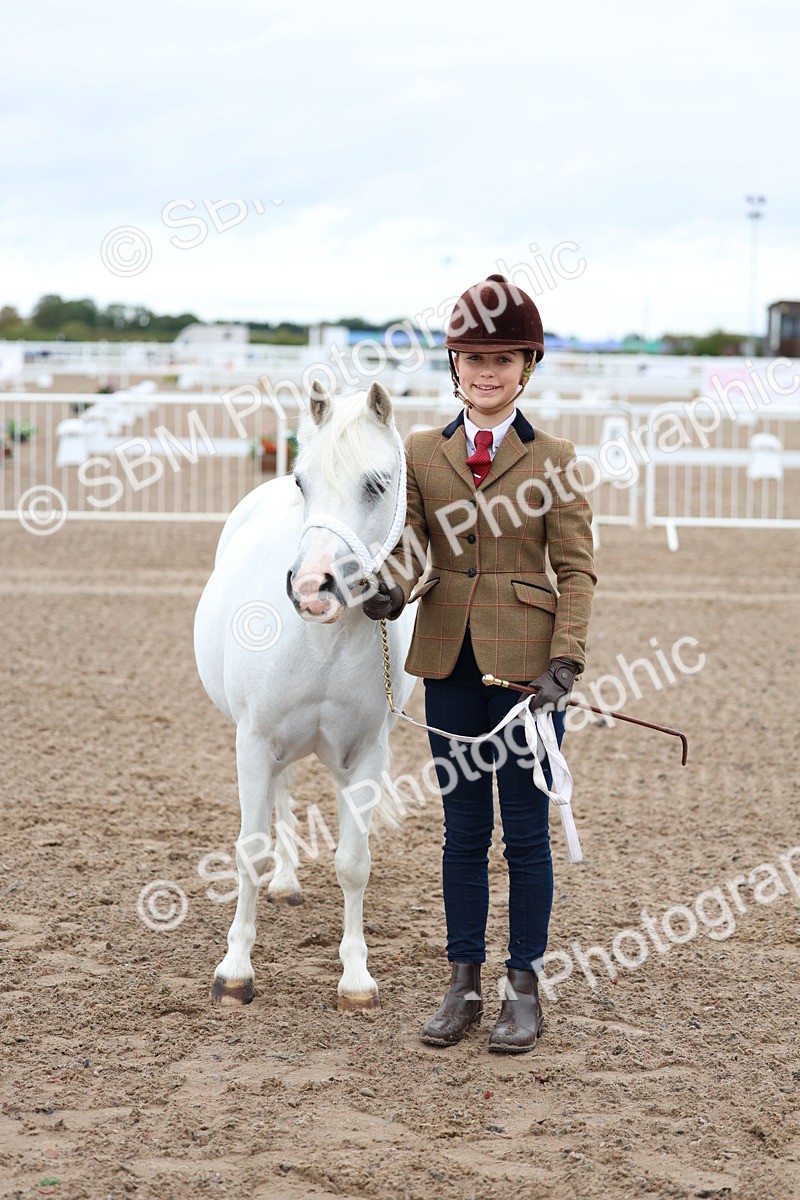 SBM_00256 - Class 13 - Young Handler