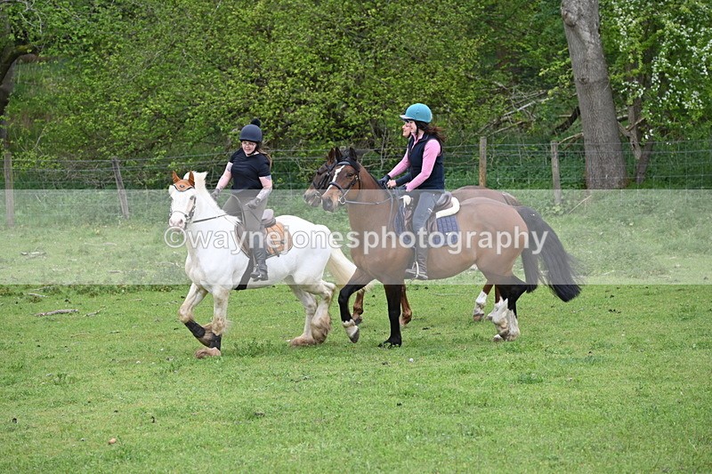 WJ6_3146 - A camera