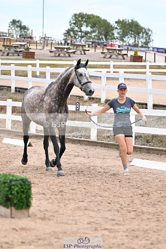 250716-135817-00830 - Trot Up 1.30 to 2.30