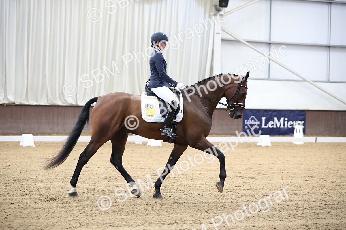SBM_002112 - Class 5 - Novice 6 Gold - 9.00-10.10