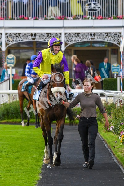 290723-Race 6-Dark Moon Rising-0969 - Race 6 5.10pm Betting Better With Sky Bet Handicap