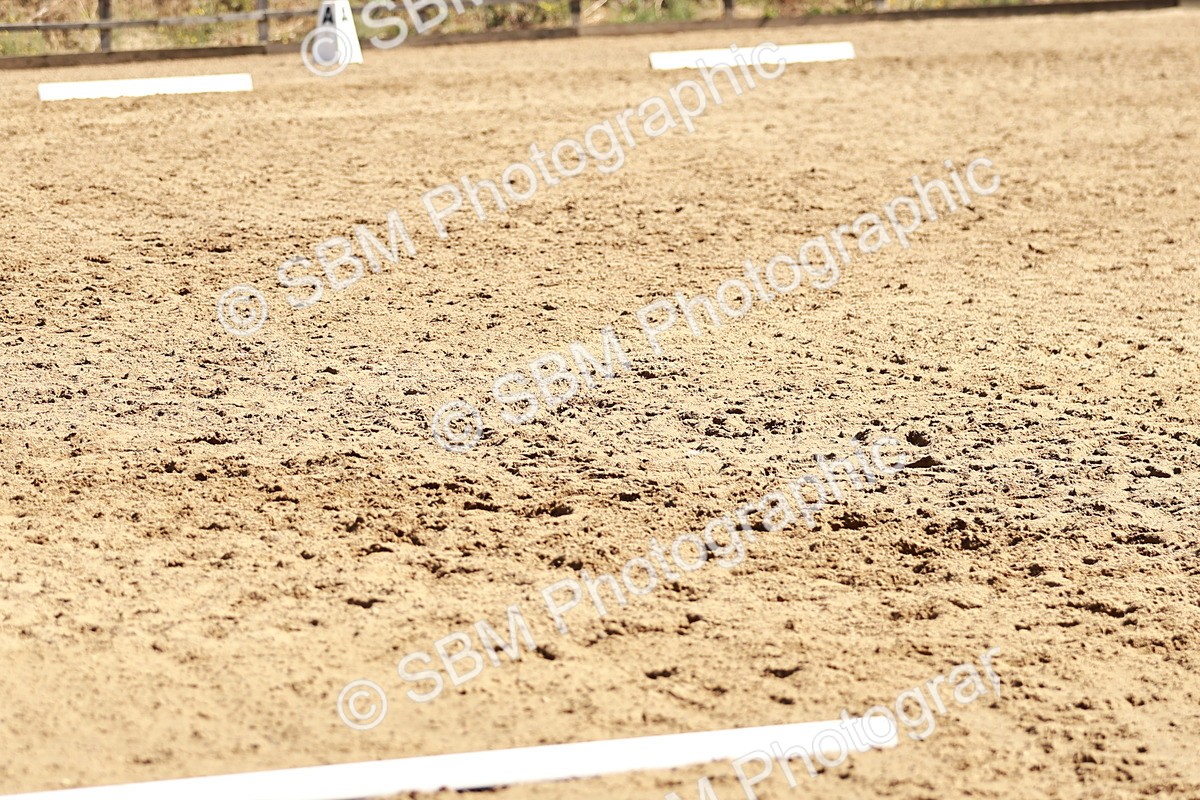 SBM_000837 - Class 12 - DR P1