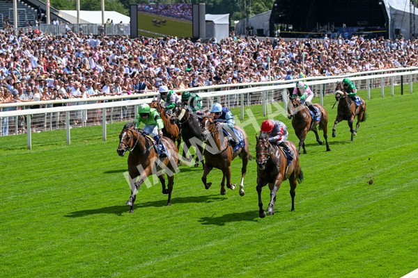 280625-Race 3-Squealer-0232 - Race 3 3.00pm Al Basti Equiworld Dubai Dash Handicap