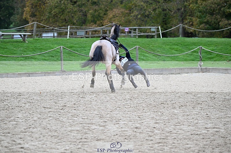 241116-105708-00722 - Cls 2 80-85cm Start to 11.30