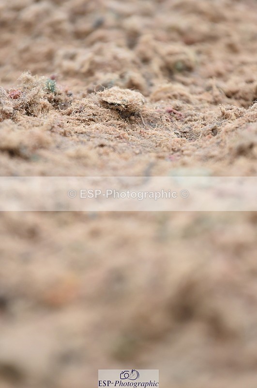 230630A-171946-03608 - Cls 4 Prelim 18