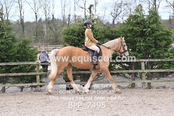 BPP_7495 - RING 1  (RIDDEN HORSES / IN HAND / VETERAN ETC)