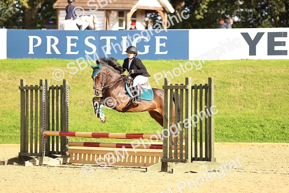 SBM_51538 - J10 - Junior Pony 75cm Championship