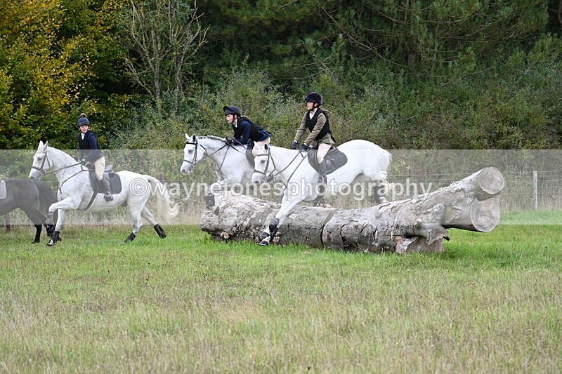 WJ7_3827 - Camera 1 Line 1