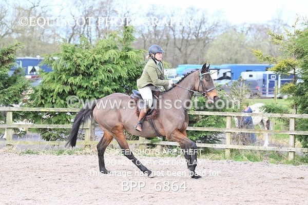 BPP_6864 - RING 1  (RIDDEN HORSES / IN HAND / VETERAN ETC)