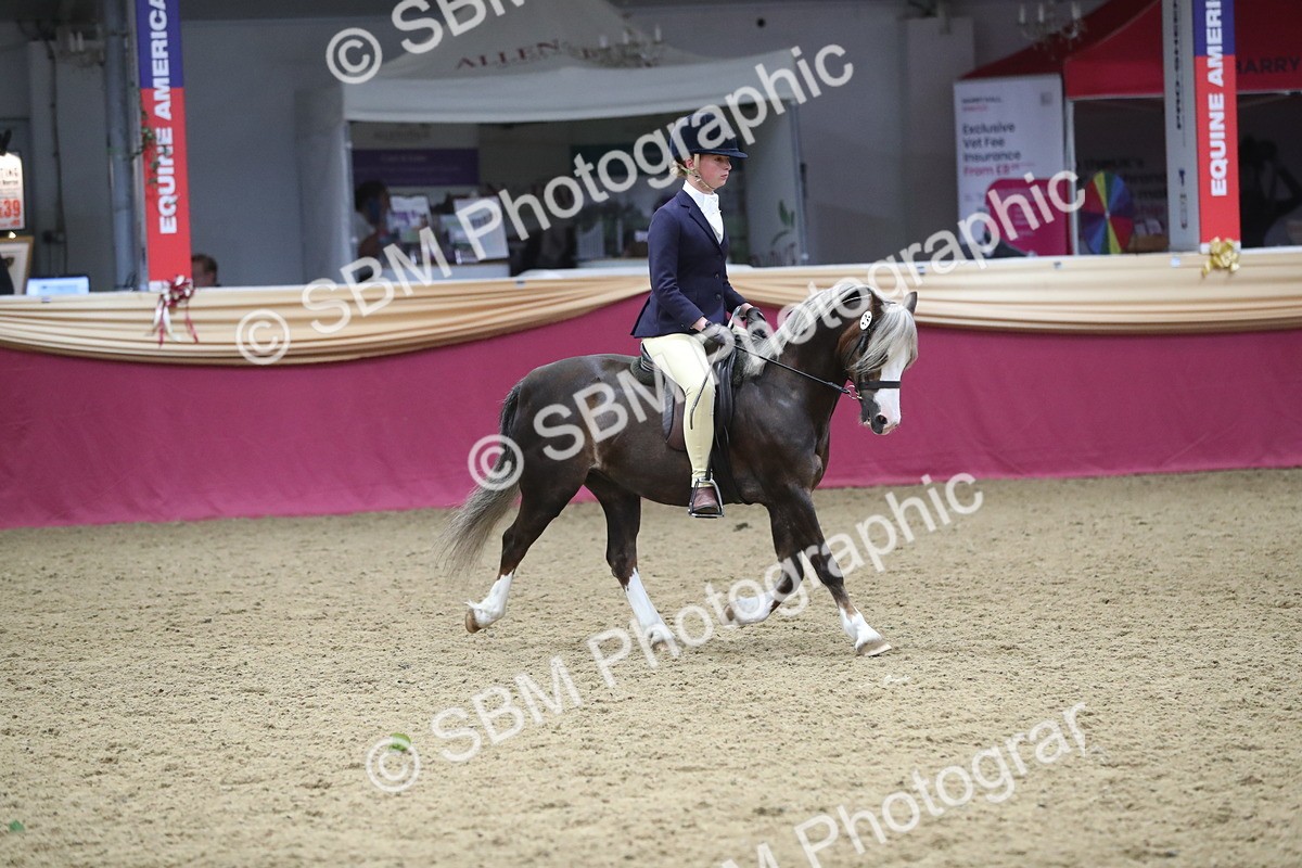 SBM_16427 - Class 502 M&M Ridden Supreme Final