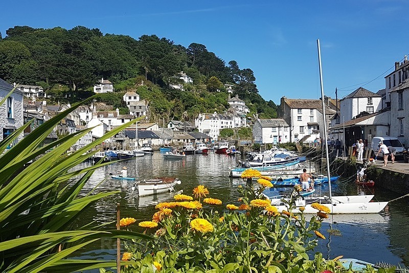 Flowers at Polperro - Polperro