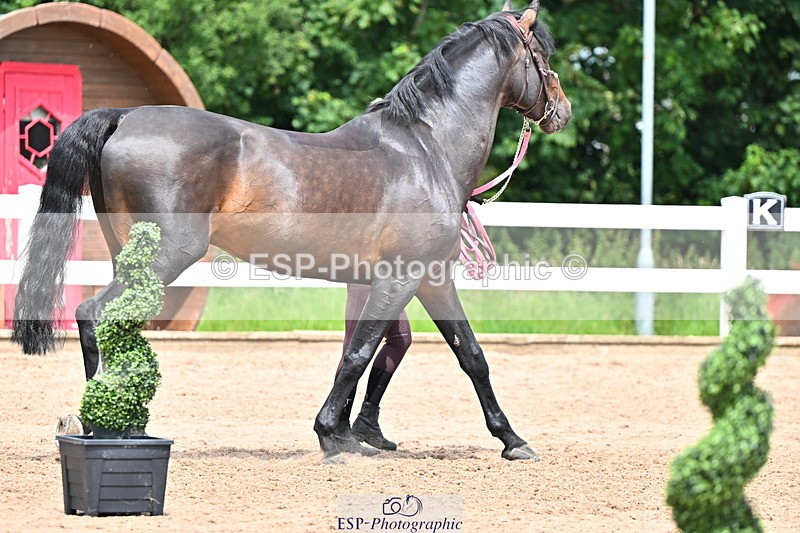 240718A-105322-01897 - Trot Up 1pm to 2pm