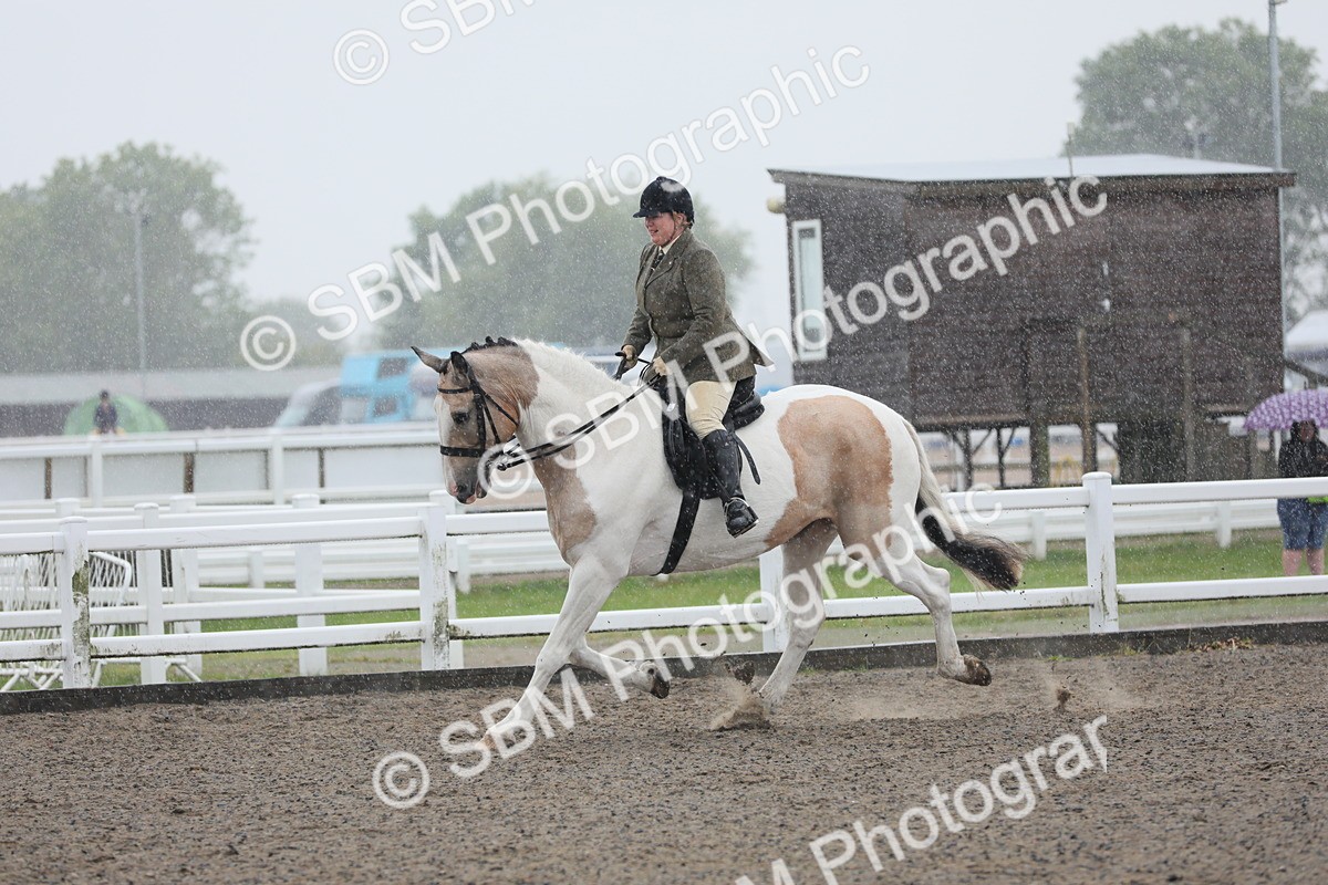 SBM_20351 - Class 803 - Ridden Combination 65+