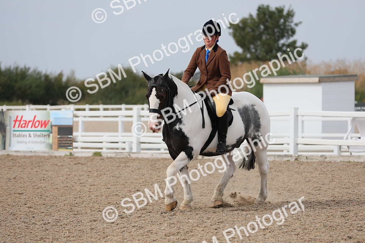 SBM_16972 - Class 314 Family Horse/Pony